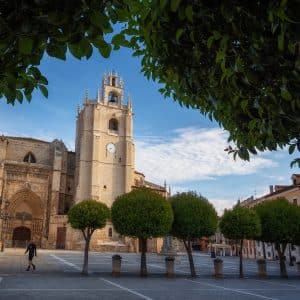 Catedral de San Antolín (Foto: Ayto. Palencia))