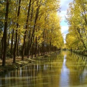 Canal de Castilla en Palencia (Foto: Palencia Turismo))