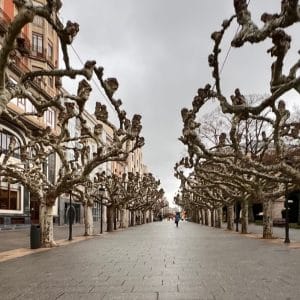 Paseo del Espolón (Foto: Castilla y León Film)